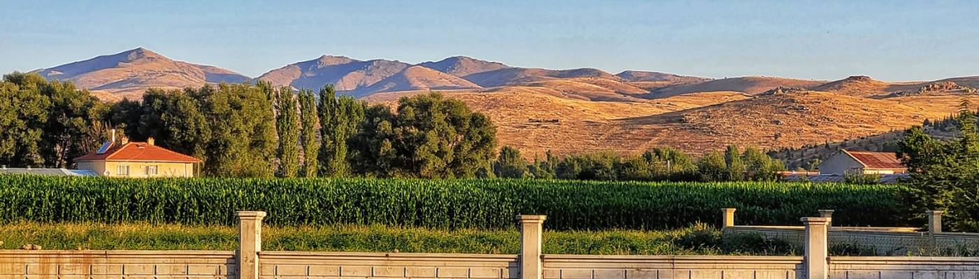 Onze bergachtige tuin...